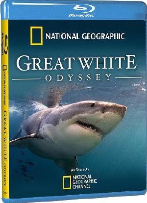 Great White Odyssey海报封面图
