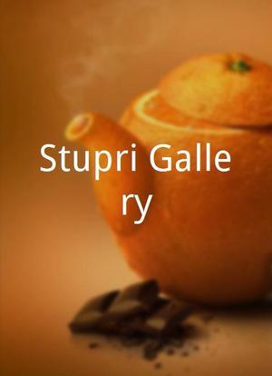 Stupri Gallery海报封面图