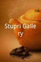 Jolt Gaber Stupri Gallery