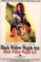 Mohd Black Widow Wajah Ayu