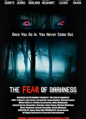 The Fear of Darkness海报封面图