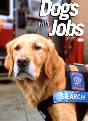 Dogs with Jobs海报封面图