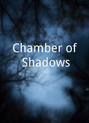 Chamber of Shadows海报封面图