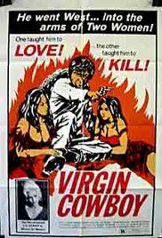Virgin Cowboy海报封面图