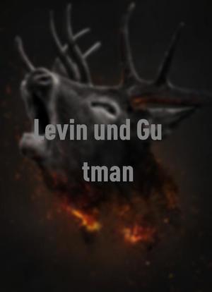 Levin und Gutman海报封面图