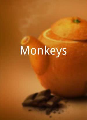 Monkeys海报封面图