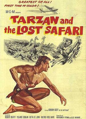 泰山和迷失的游猎者海报封面图