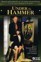 Harriet Earle Under the Hammer