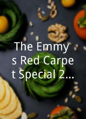 The Emmy's Red Carpet Special 2005海报封面图