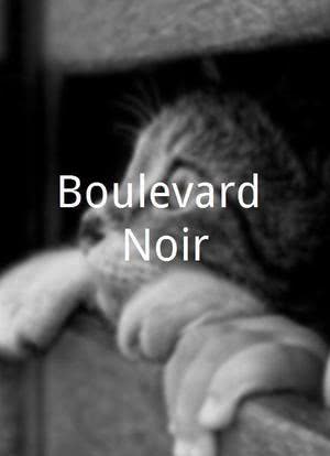 Boulevard Noir海报封面图
