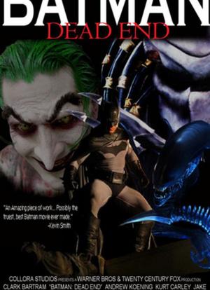 蝙蝠侠：死角海报封面图