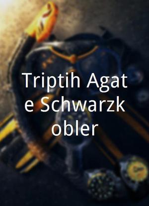 Triptih Agate Schwarzkobler海报封面图