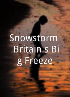 Snowstorm: Britain's Big Freeze海报封面图
