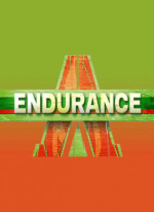 Endurance海报封面图
