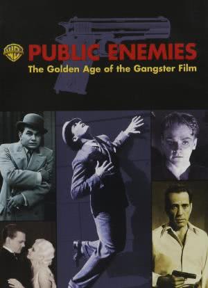 公众之敌：黑帮电影的黄金时代海报封面图