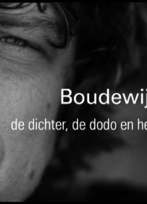 Boudewijn Büch - De dichter, de dodo en het demasqué海报封面图