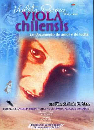 Viola Chilensis海报封面图