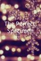 Alicia Corbett The Perfect Specimen