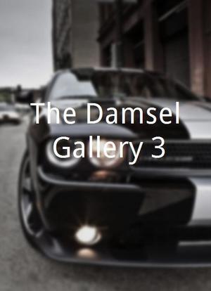 The Damsel Gallery 3海报封面图