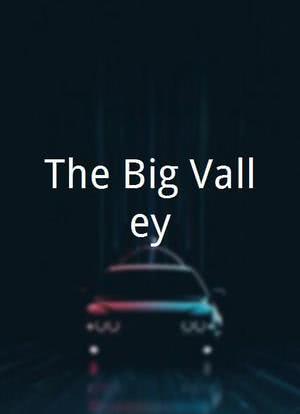 The Big Valley海报封面图