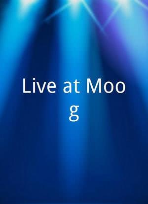 Live at Moog海报封面图