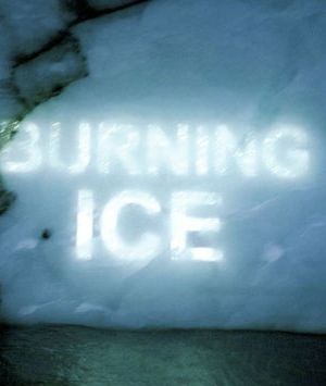 Burning Ice海报封面图
