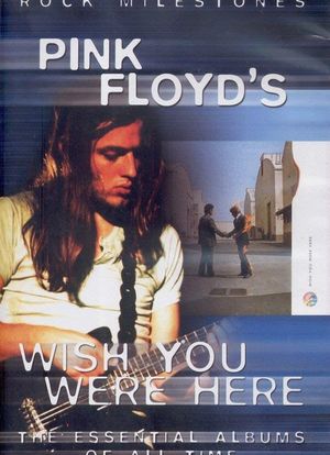 Rock Milestones: Pink Floyd's Wish You Were Here海报封面图
