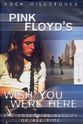 Tony Dolan Rock Milestones: Pink Floyd's Wish You Were Here