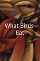 Gregorio Smith What Birds Eat