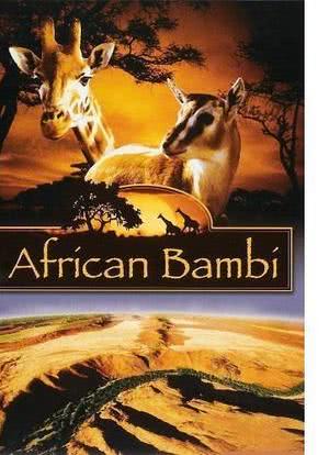 African Bambi海报封面图