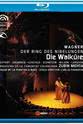 Bernadette Flaitz Wagner: Die Walküre