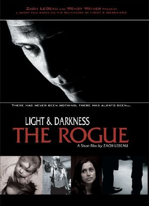 Light and Darkness: The Rogue海报封面图