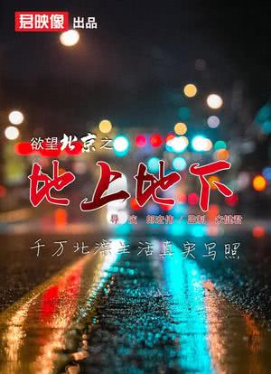 欲望北京之地上地下海报封面图