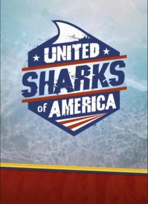 United Sharks of America海报封面图