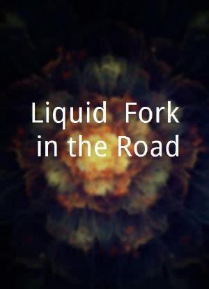 Liquid: Fork in the Road海报封面图