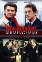 詹姆斯·伯威克 Who Bombed Birmingham?