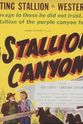 Dick Hammer Stallion Canyon