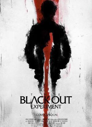 The Blackout Experiment海报封面图