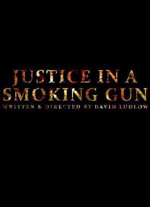 Justice in a Smoking Gun海报封面图