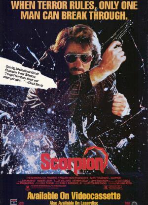 Scorpion海报封面图
