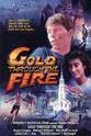 John Wischner Gold Through the Fire