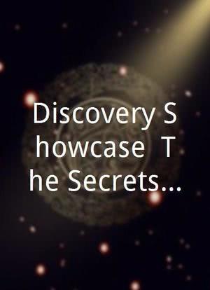 Discovery Showcase: The Secrets of the Templars海报封面图