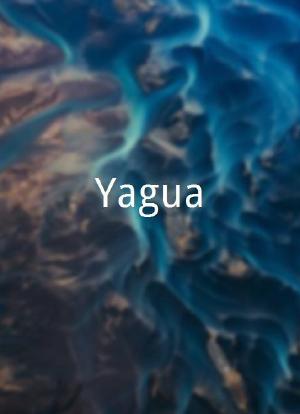 Yagua海报封面图
