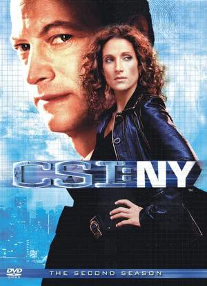 犯罪现场调查：纽约 第二季海报封面图