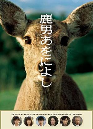 鹿男与美丽的奈良海报封面图