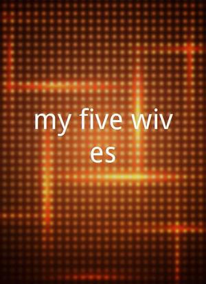 my five wives海报封面图