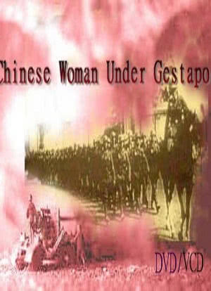 盖世太保枪口下的中国女人海报封面图