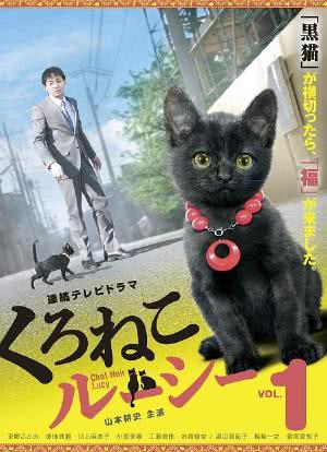 黑猫露西海报封面图