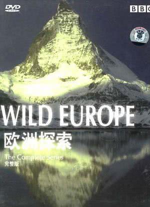 野性欧洲海报封面图