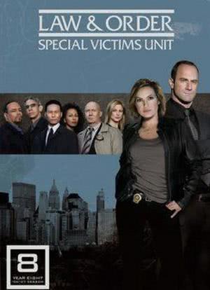 法律与秩序：特殊受害者 第八季海报封面图